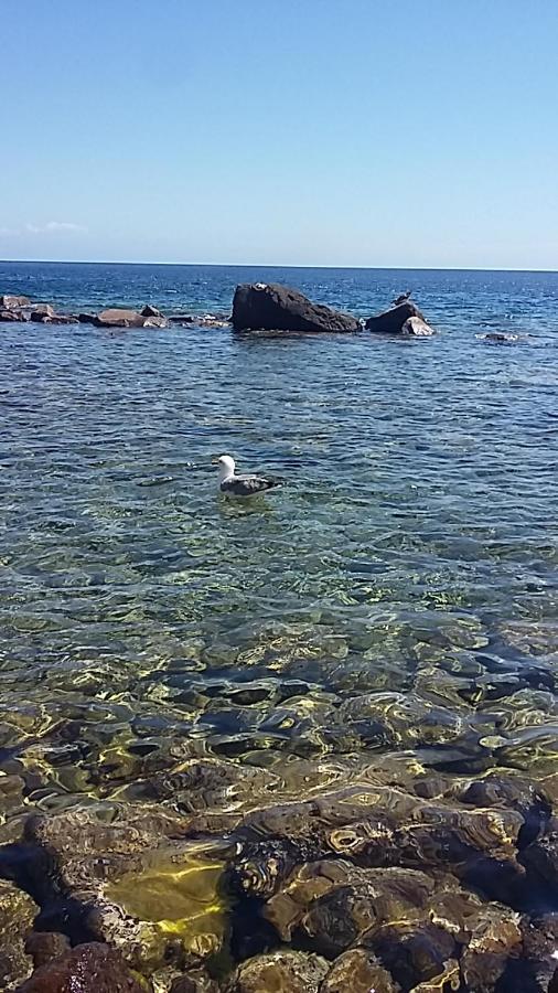 Capraia Per Te エクステリア 写真